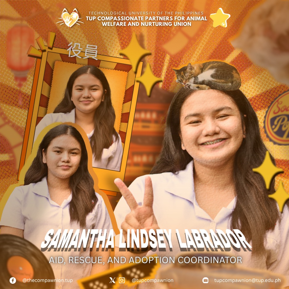 Art & Design Coordinator