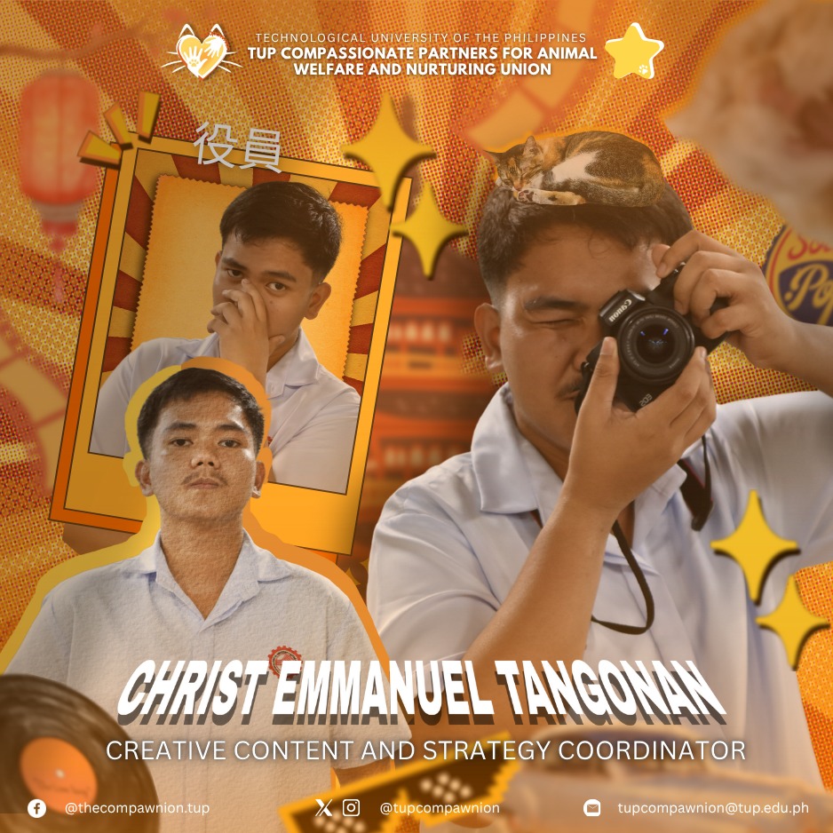 Creative Content Head