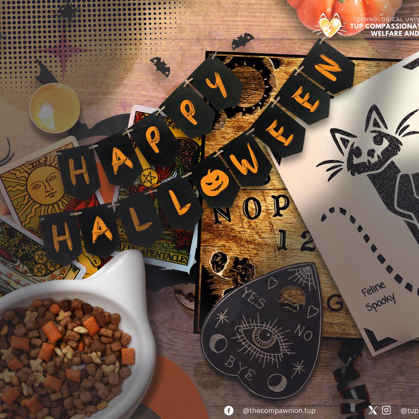 Upcoming Adoption Drive