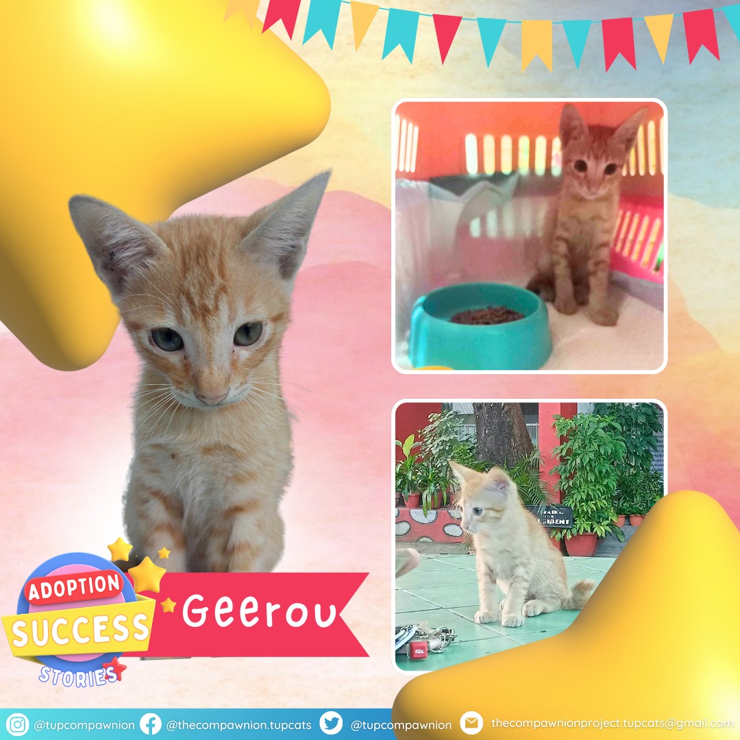 Rescue Story: Geerou